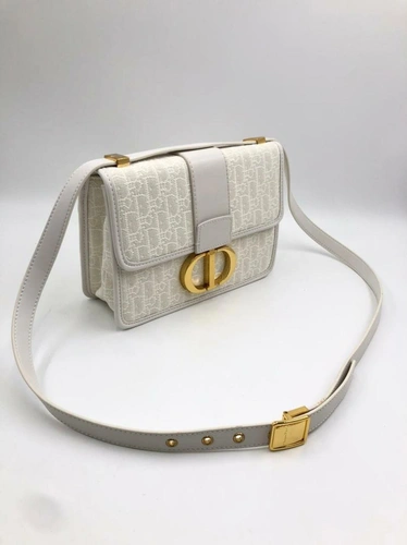 Женская сумка Dior белая из ткани 25/16 см