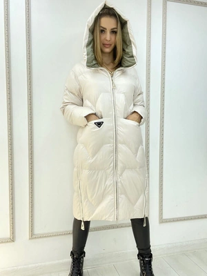 Вид 1